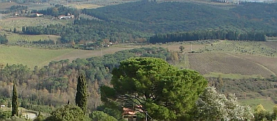 the Chianti hills
